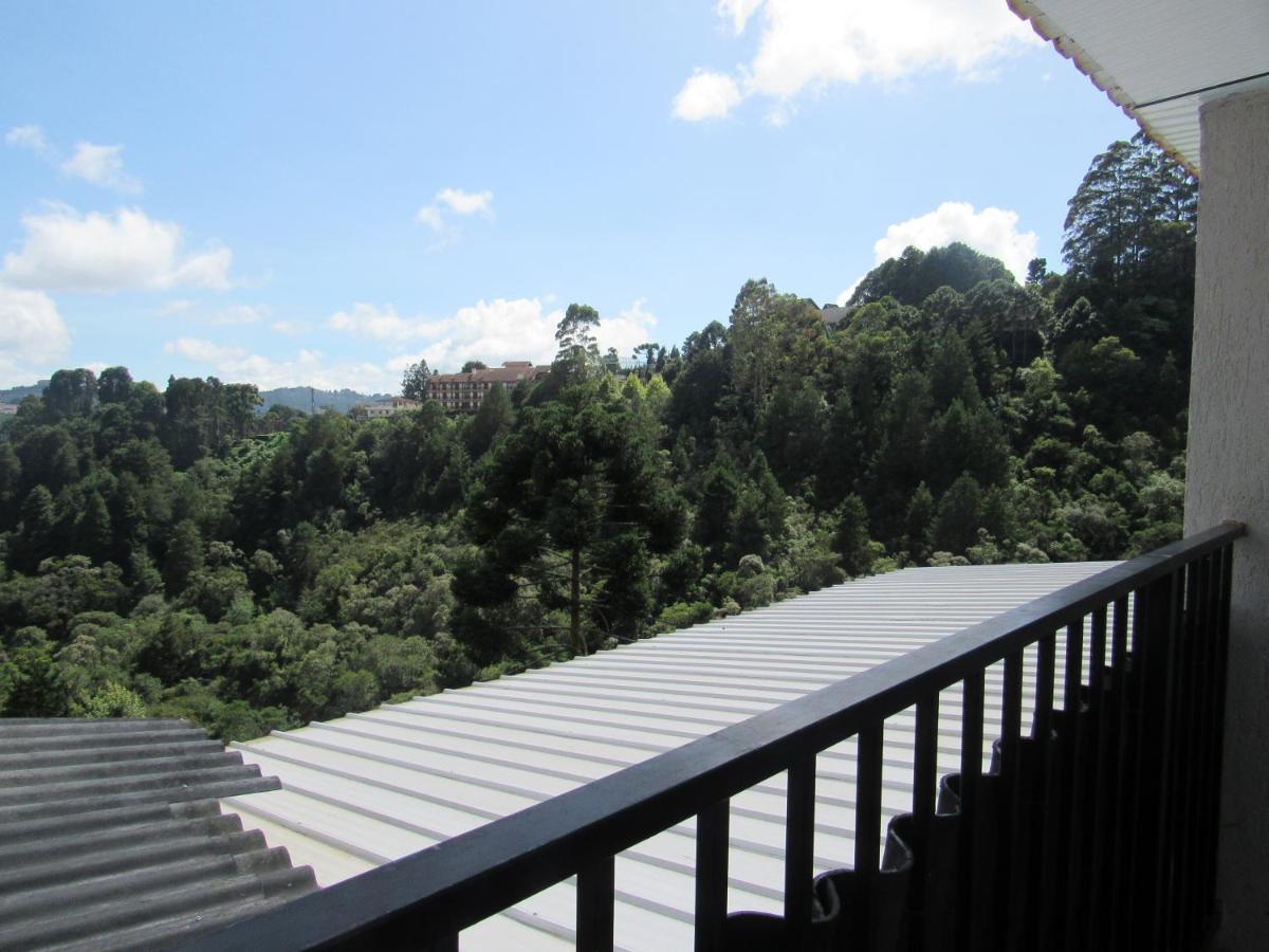 Golden Forest Pousada Campos do Jordao Bilik gambar